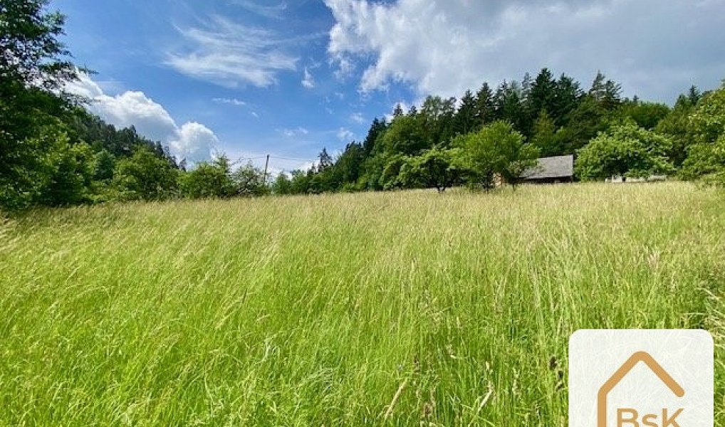 Prodej stavebního pozemku 2 434 m², Koberovy – náhled fotky 6