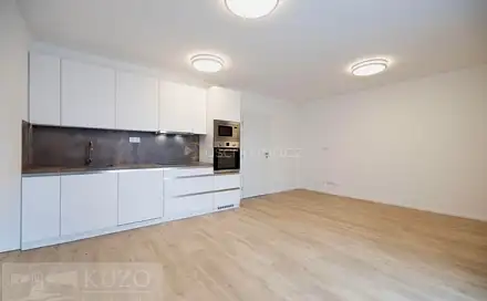 Prodej bytu 1+kk 35 m², Auerswaldova, Brno - Zábrdovice