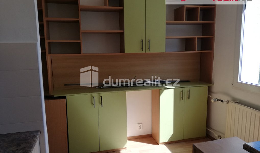 Pronájem bytu 1+1 39 m², Plzeň – náhled fotky 6