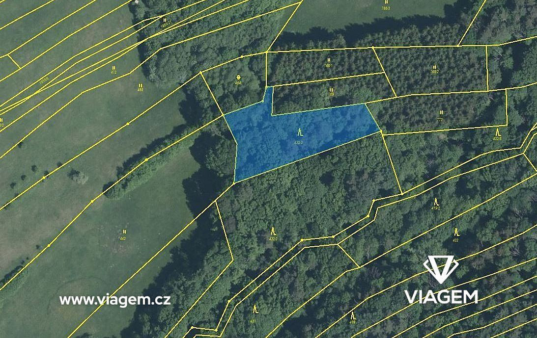Prodej lesa 1 729 m² – fotografie 4