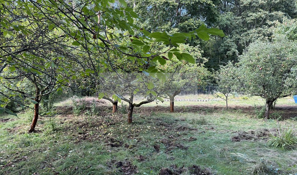 Prodej chaty/chalupy 63 m² s pozemkem 1 595 m², Hrobčice – náhled fotky 2