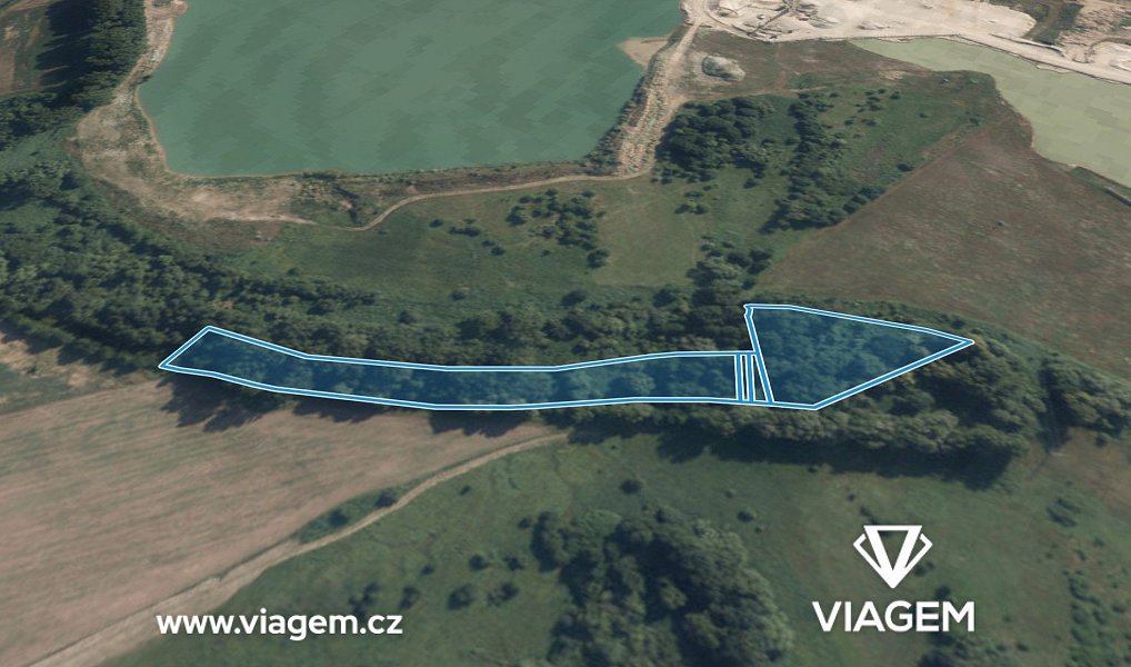 Prodej lesa 2 389 m², Kostelec nad Labem – náhled fotky 2
