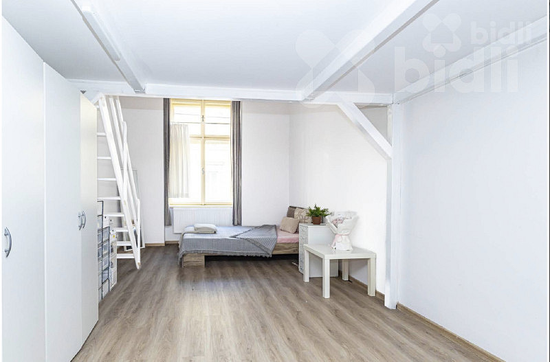 Pronájem bytu 1+1 40 m² — photo 2