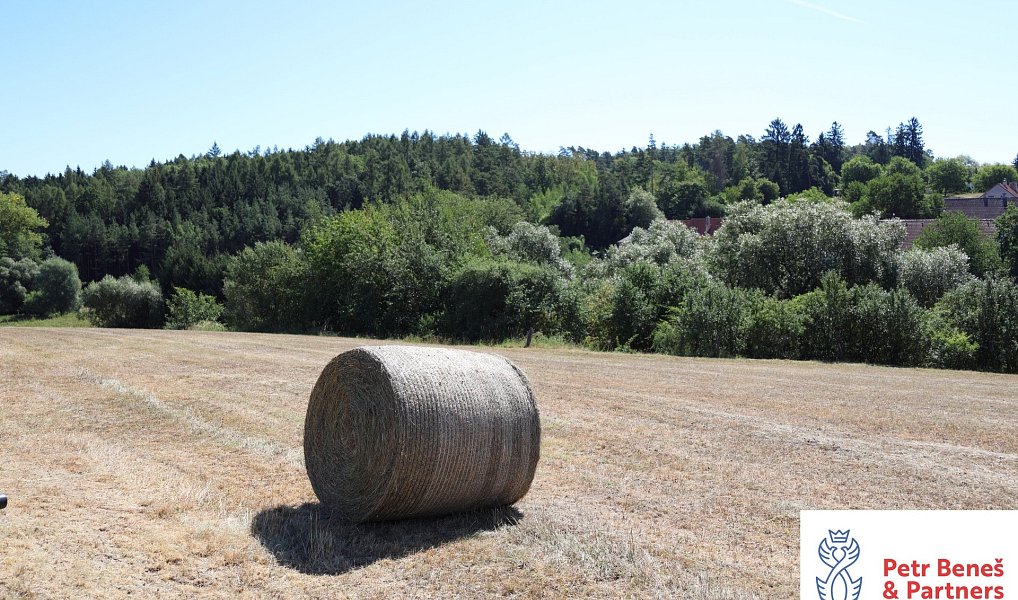 Prodej domu 97 m² s pozemkem 936 m², Hřebečníky – náhled fotky 14