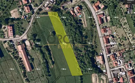 Prodej louky 3 748 m², Košíky, okres Uherské Hradiště