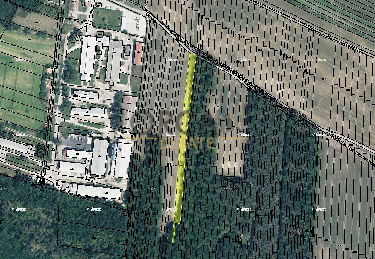 Prodej pole 3 155 m²