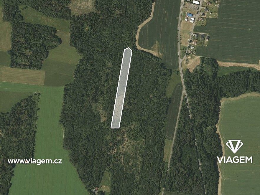 Prodej lesa 15 886 m²