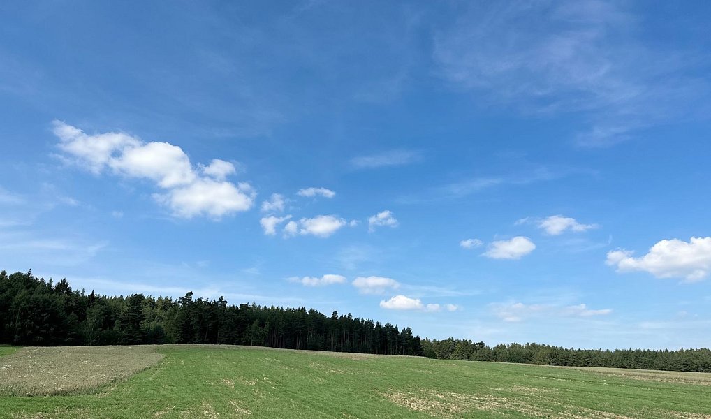 Prodej lesa 12 651 m², Dlouhý Újezd – náhled fotky 3