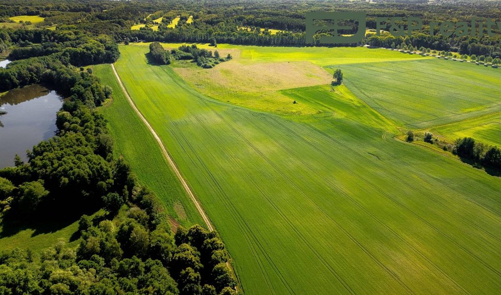 Prodej pole 26 000 m², Lázně Bohdaneč – náhled fotky 7