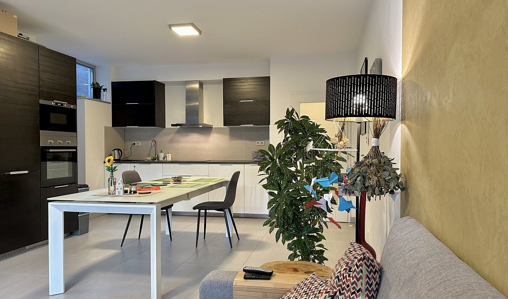 Pronájem bytu 2+kk 60 m², Brno – náhled fotky 2