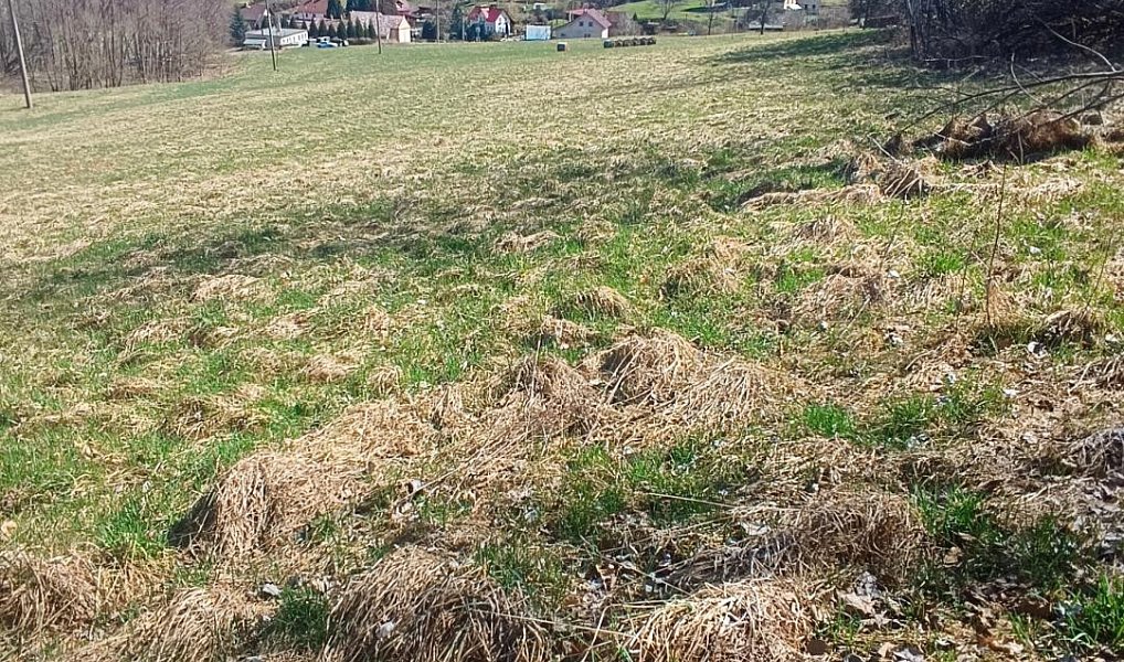 Prodej stavebního pozemku 4 280 m², Heřmanov – náhled fotky 6