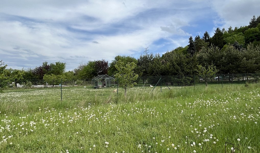 Prodej stavebního pozemku 814 m², Sentice – náhled fotky 3