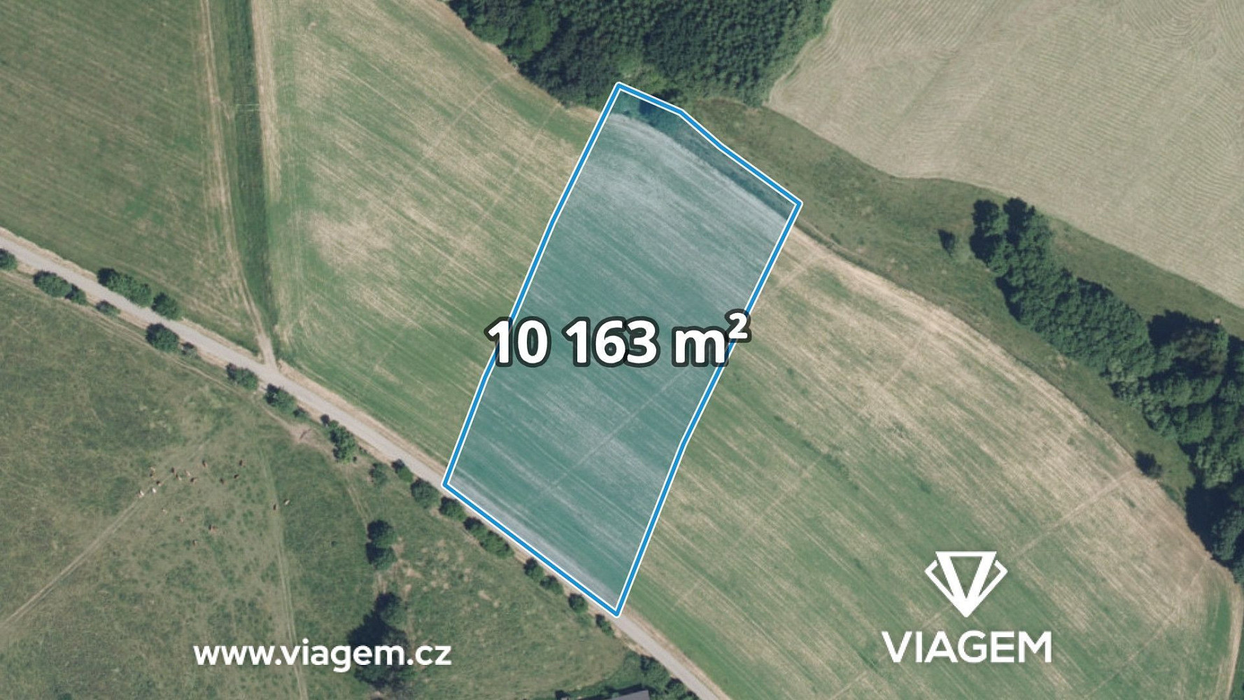 Prodej pole 10 163 m²