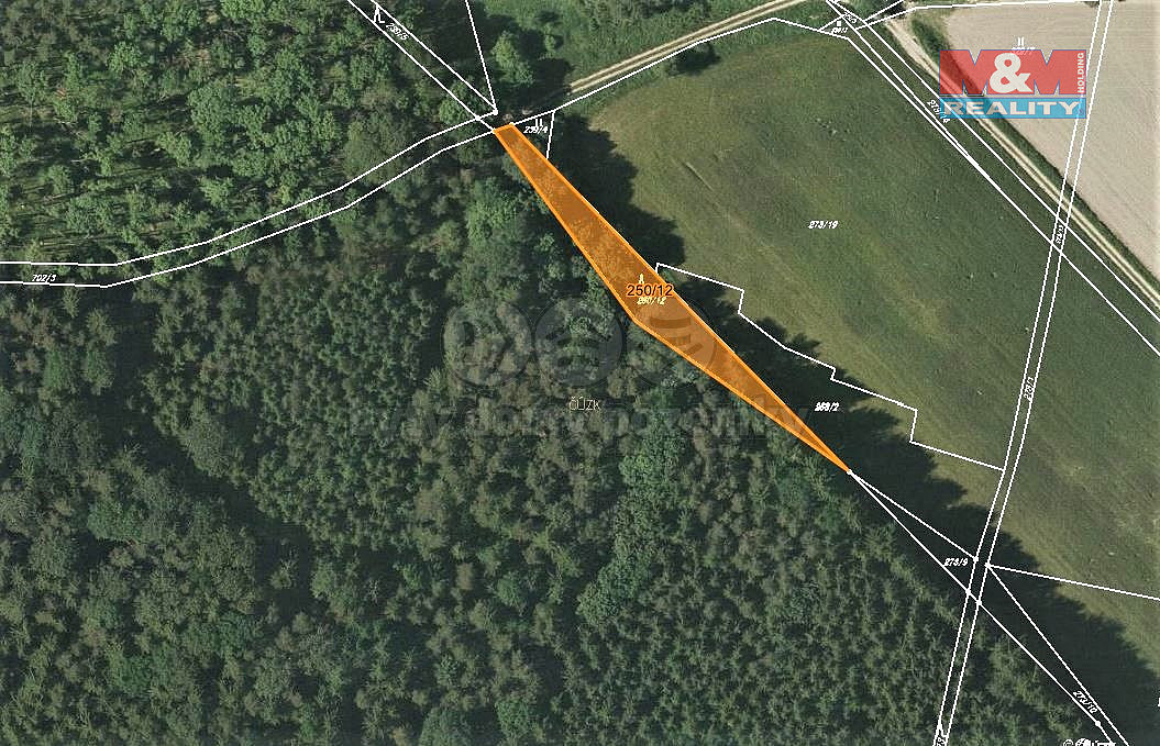 Prodej lesa 892 m² – fotografie 5
