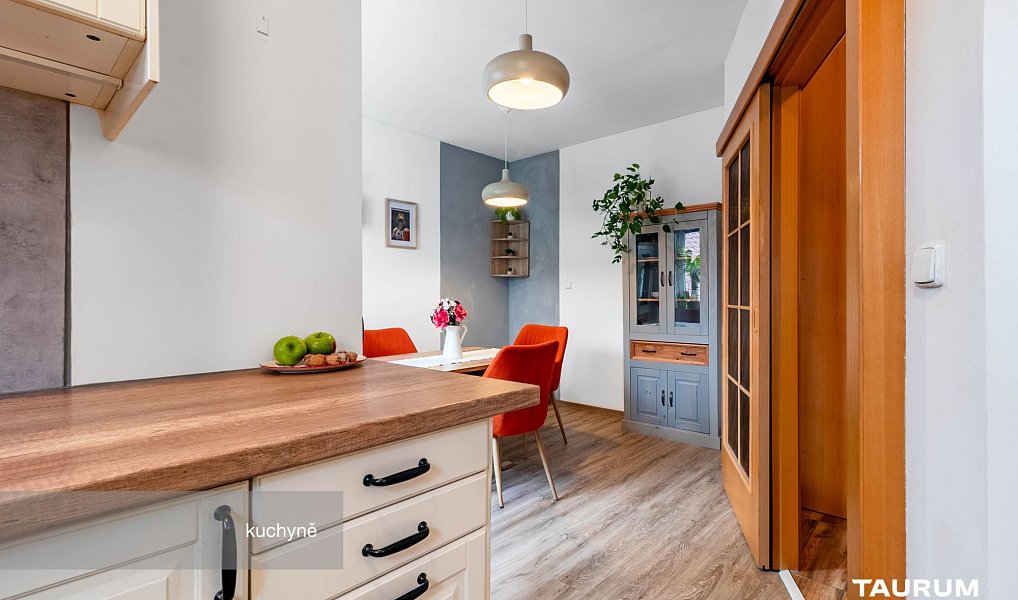 Prodej bytu 2+1 116 m², Plzeň – náhled fotky 6