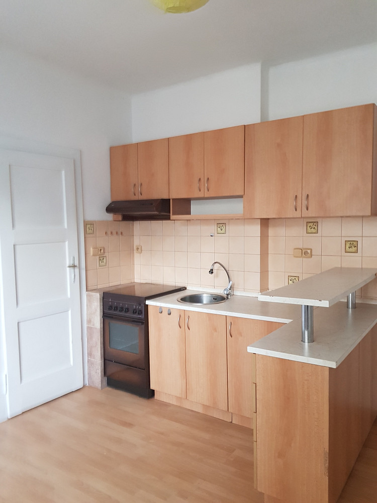 Pronájem bytu 1+1 44 m² – fotografie 3