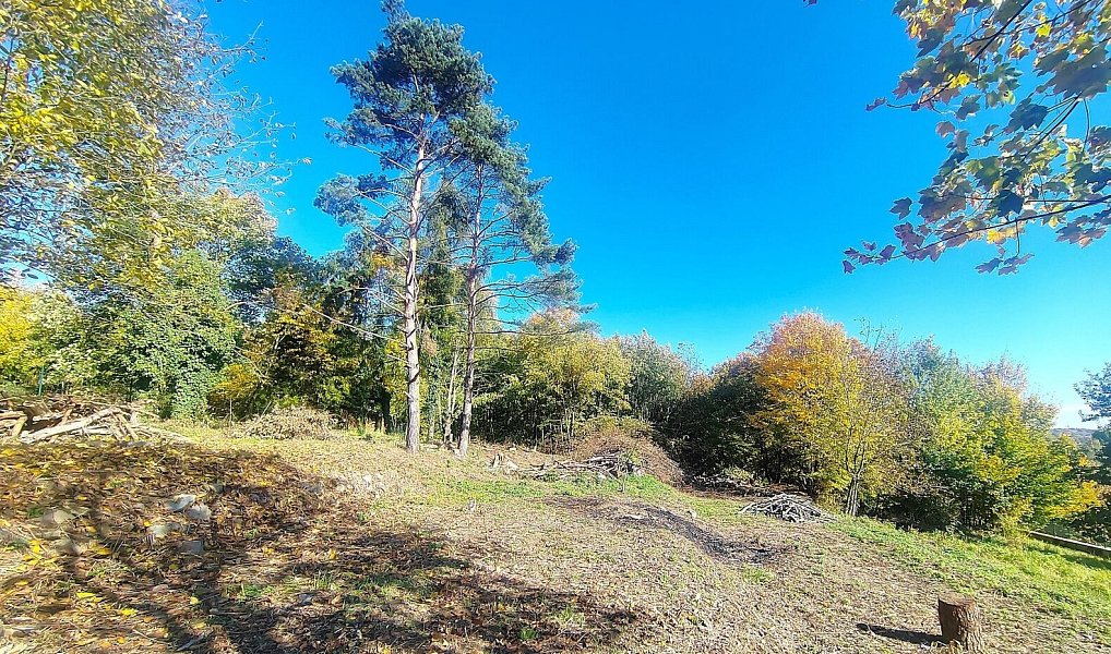 Prodej stavebního pozemku 3 646 m², Ostrava – náhled fotky 11