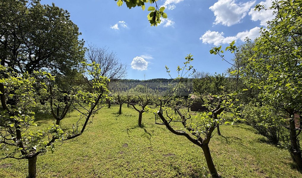 Prodej zahrady 703 m², Dlouhá Třebová – náhled fotky 9