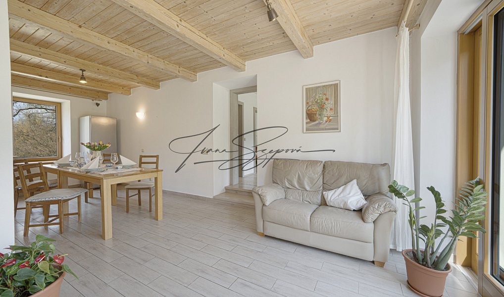 Prodej domu 594 m² s pozemkem 13 331 m², Olešná – náhled fotky 34