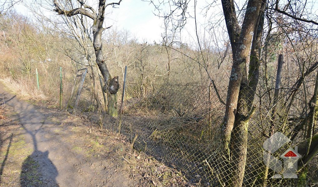 Prodej zahrady 207 m², Brno – náhled fotky 11