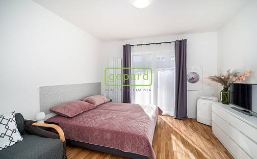 Pronájem bytu 1+kk 29 m², Novovysočanská, Praha 9 - Libeň
