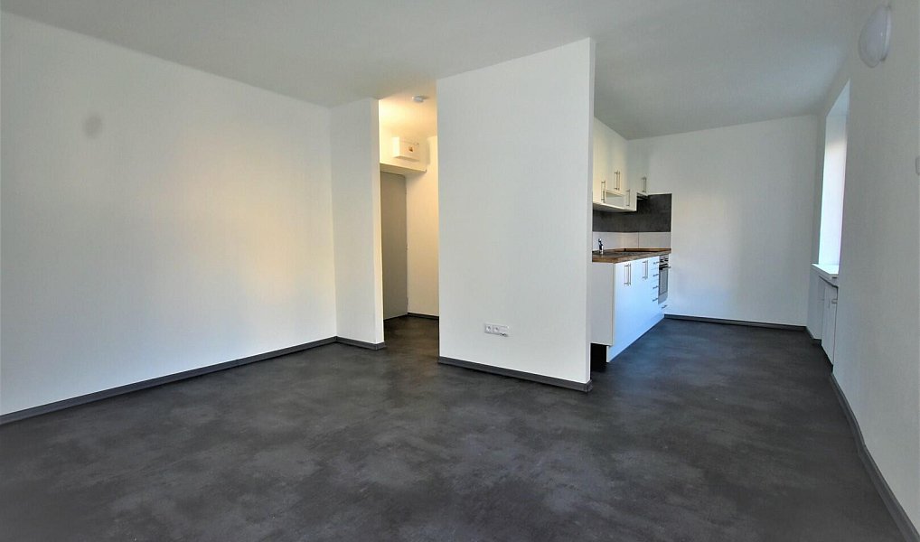 Pronájem bytu 1+kk 29 m², Havířov – náhled fotky 8