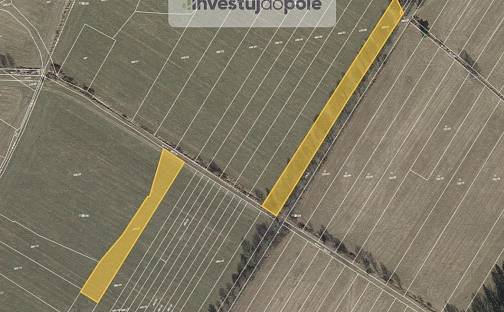 Prodej pole 2 915 m², Velký Chlumec, okres Beroun