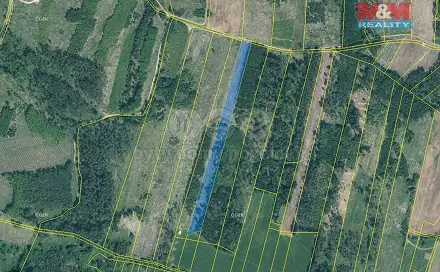 Prodej lesa 13 685 m², Jetětice, okres Písek