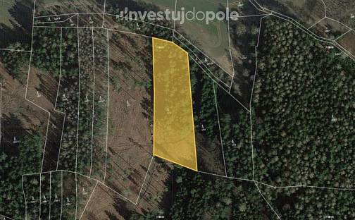 Prodej lesa 6 146 m², Vilice, okres Tábor