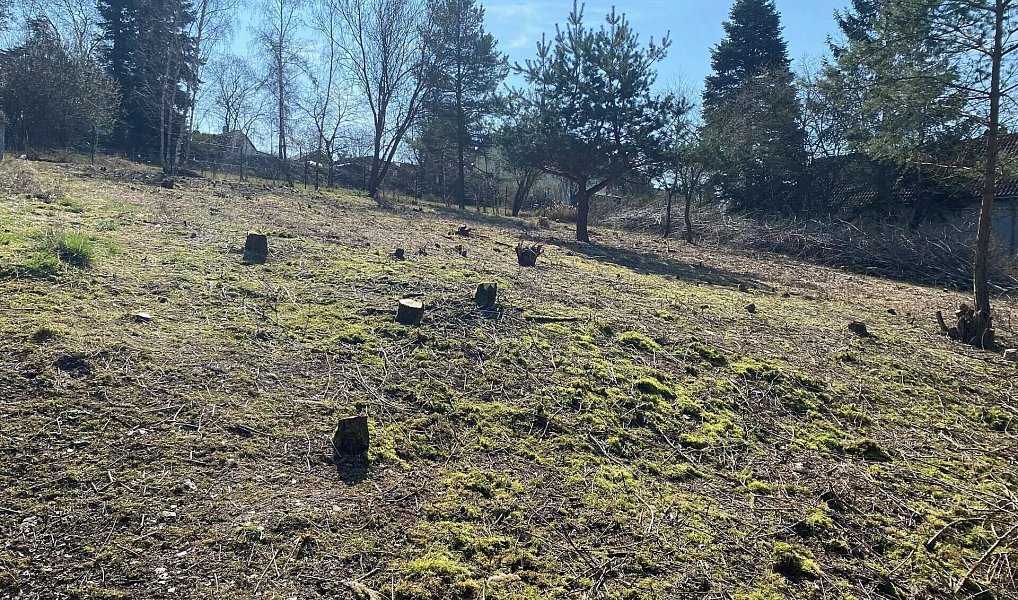 Prodej stavebního pozemku 1 291 m², Psáry – náhled fotky 5