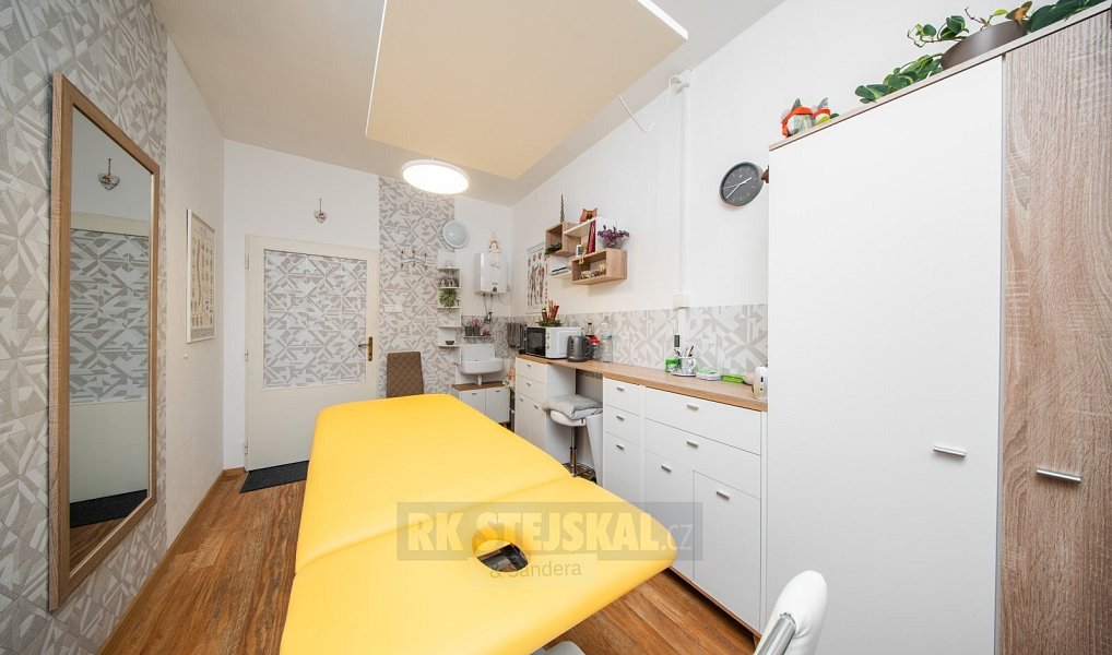 Prodej domu 182 m² s pozemkem 236 m², České Budějovice – náhled fotky 16