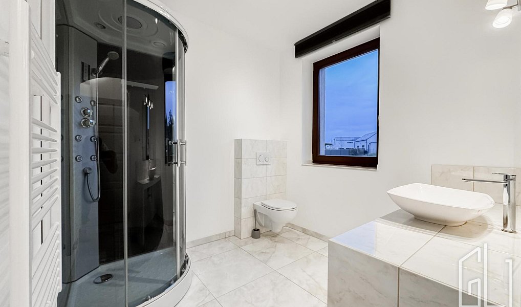 Prodej domu 317 m² s pozemkem 1 674 m², Trnová – náhled fotky 10