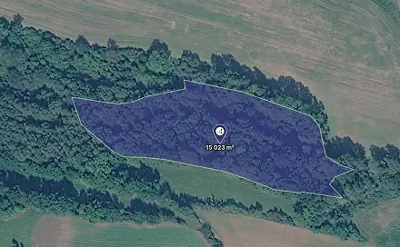 Prodej louky 15 023 m², Městečko Trnávka, okres Svitavy