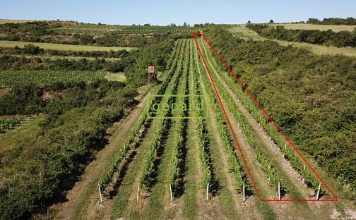 Prodej pozemku 2 166 m², Starovice, okres Břeclav