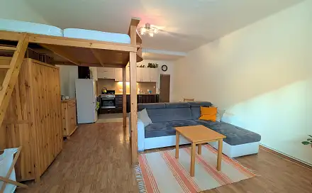 Pronájem bytu 1+kk 44 m²