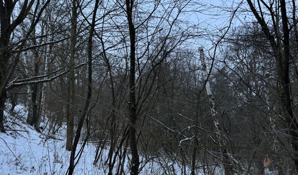 Prodej pozemku 719 m², Holubice – náhled fotky 2