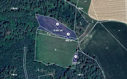 Prodej lesa 5 099 m², Čepřovice, okres Strakonice