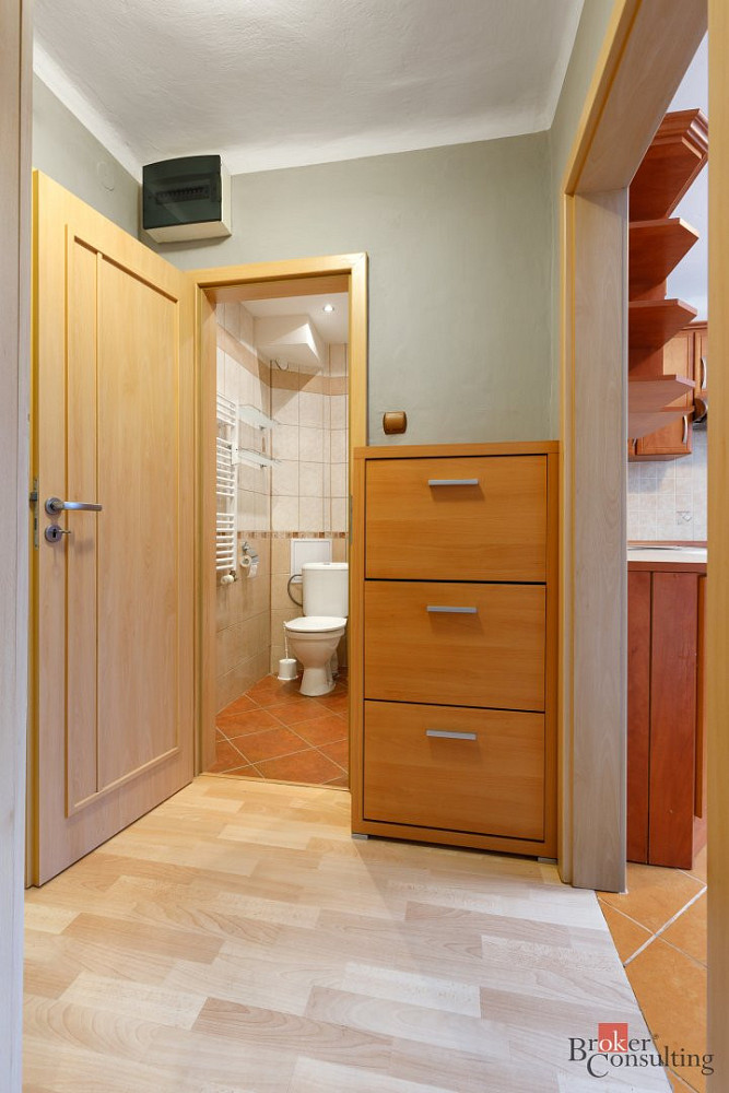 Pronájem bytu 1+1 30 m² - Więcej