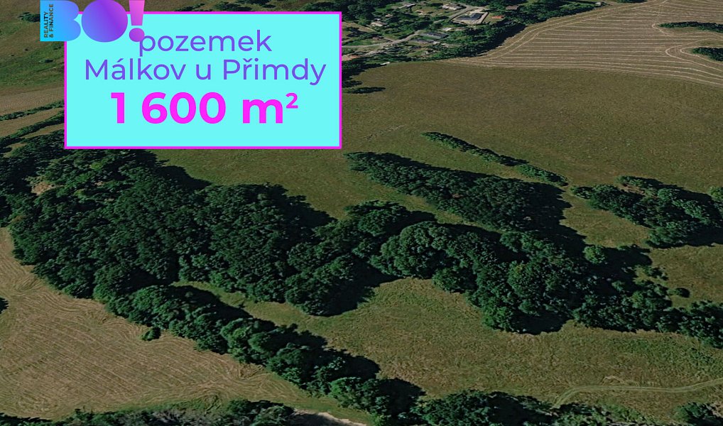 Prodej pole 1 600 m², Přimda – fotka 1 z 3