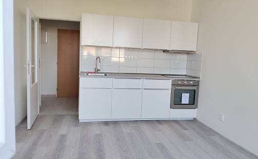 Pronájem bytu 1+1 43 m², Petrohradská, Praha 10 - Vršovice