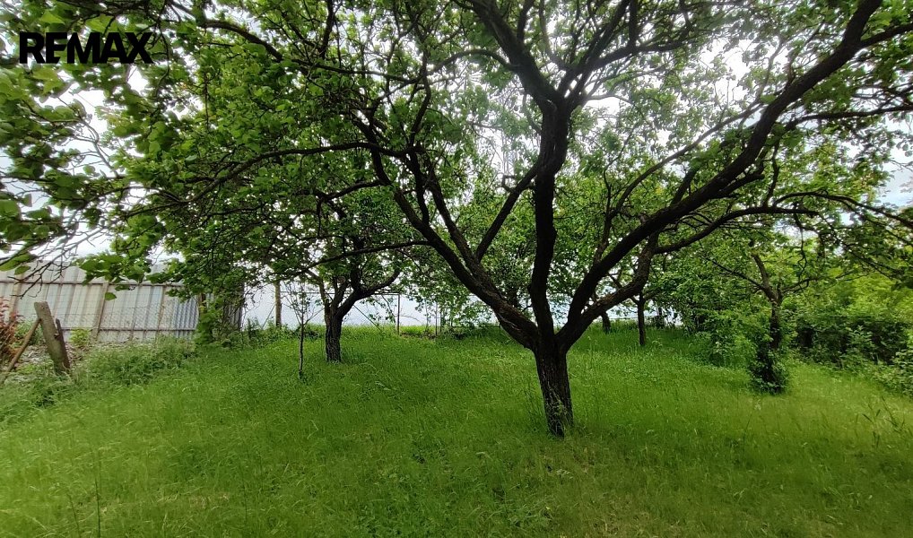 Prodej zahrady 1 279 m², Vážany nad Litavou – náhled fotky 6