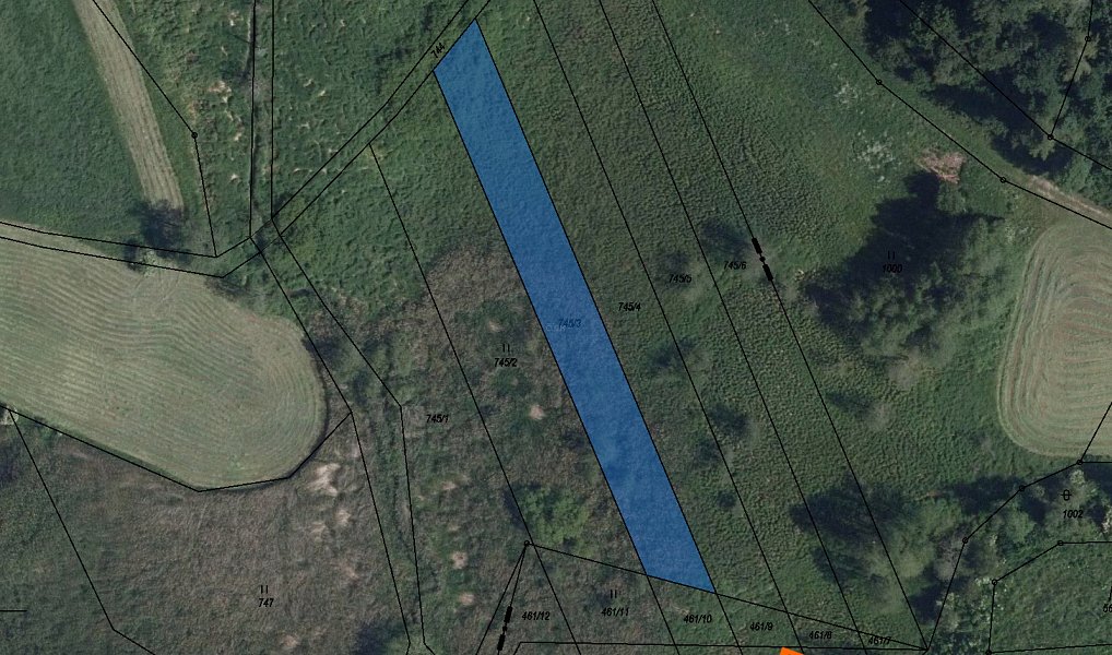 Prodej lesa 9 117 m², Krasonice – náhled fotky 5