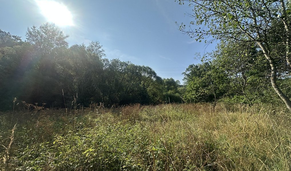 Prodej pozemku 3 546 m², Kaplice – fotka 1 z 3