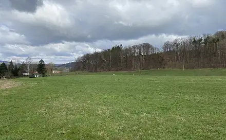 Prodej stavebního pozemku 1 891 m², Lužecká, Raspenava, okres Liberec