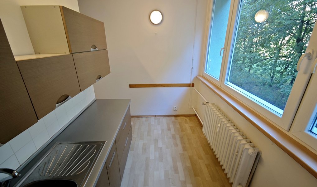 Prodej bytu 2+1 53 m², Brno – náhled fotky 3