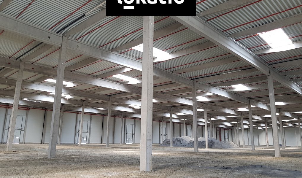 Pronájem skladovacích prostor 10 217 m², Mošnov – náhled fotky 4