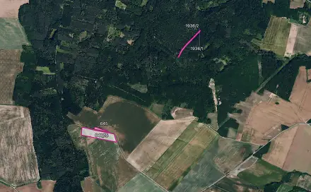 Prodej pole 11 072 m², Džbánice, okres Znojmo