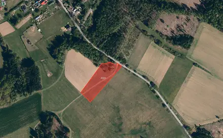Prodej louky 6 792 m², Dudín, okres Jihlava