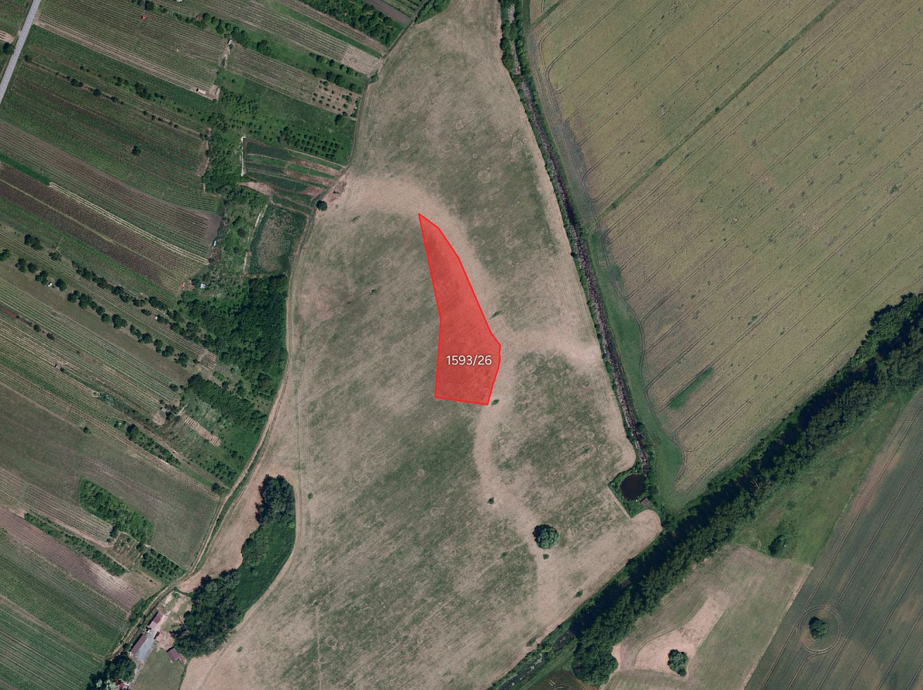Prodej pole 8 779 m² — photo 2
