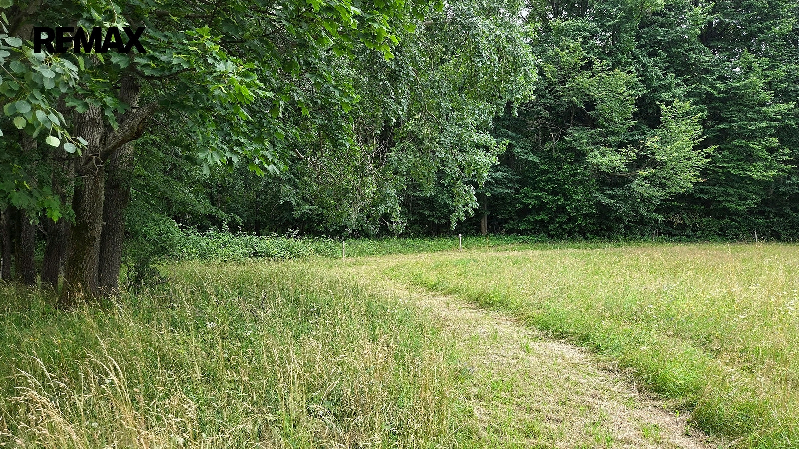 Prodej lesa 26 680 m² – fotografie 4
